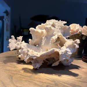 Elegant White Genuine Coral Accent Piece